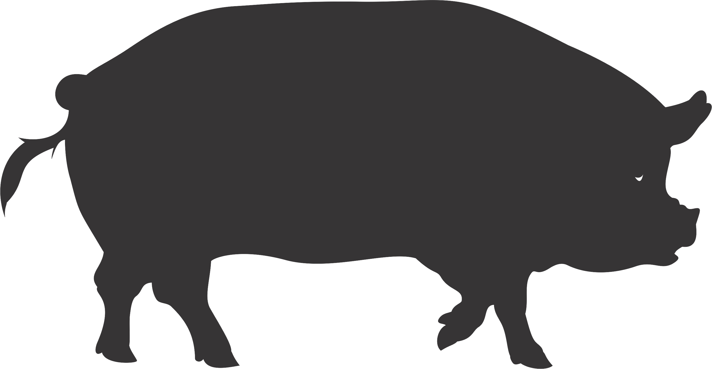 wild hog clipart outline 10 free Cliparts | Download images on