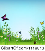 Clipart of a Spring Meadow with Butterflies and Wild Flowers.