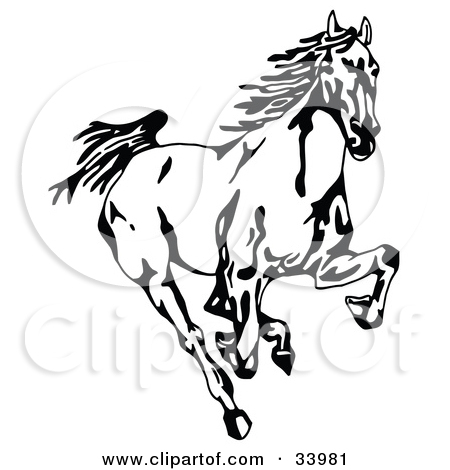 Wild mustangs clipart 20 free Cliparts | Download images ...