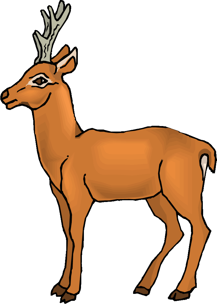Cute deer clipart free clipart images 2 on ClipArt.