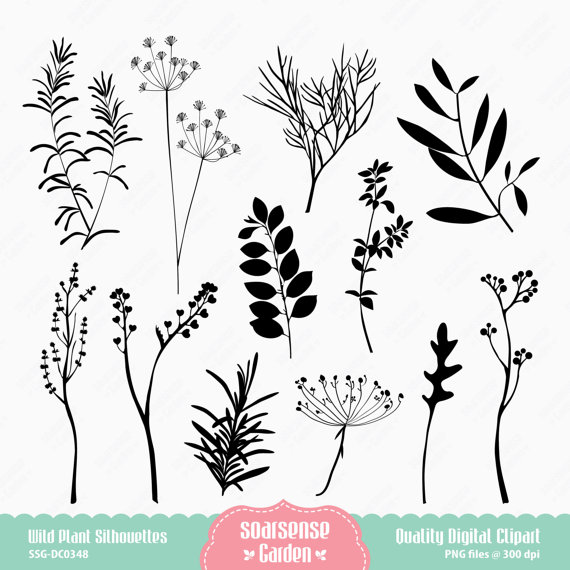 Wild Plant Silhouette Digital Clipart by SSGARDEN on Etsy.
