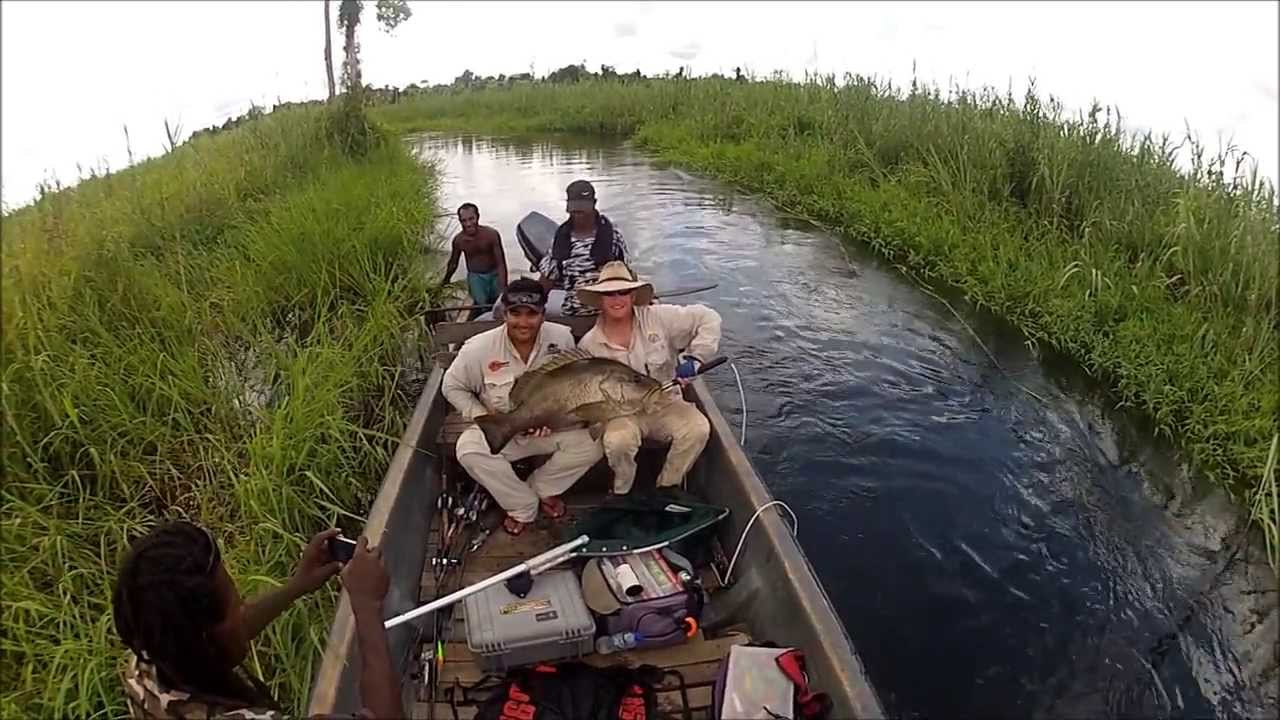 Wild River Fishing PNG, Papuan Black Bass.