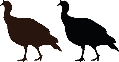turkey silhouette Clipart Image.
