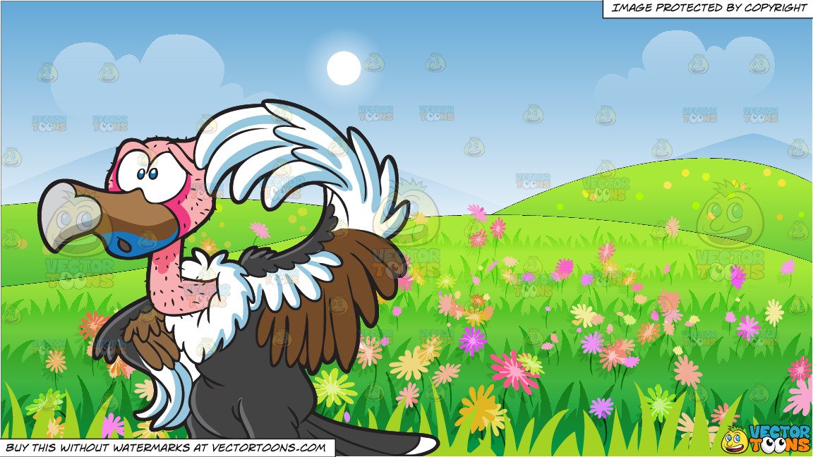 A Clueless Vulture and A Beautiful Field Of Wild Flowers Background.