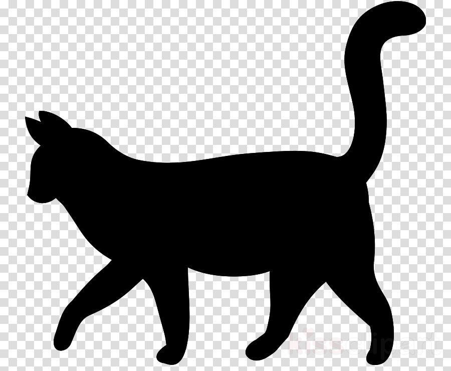 wildcat tail clipart 10 free Cliparts | Download images on Clipground 2024