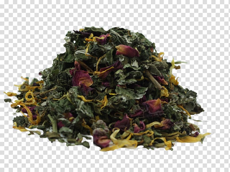 Oolong Nilgiri tea Herbal tea Vegetarian cuisine, tea.