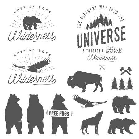 43,785 Wilderness Stock Vector Illustration And Royalty Free.