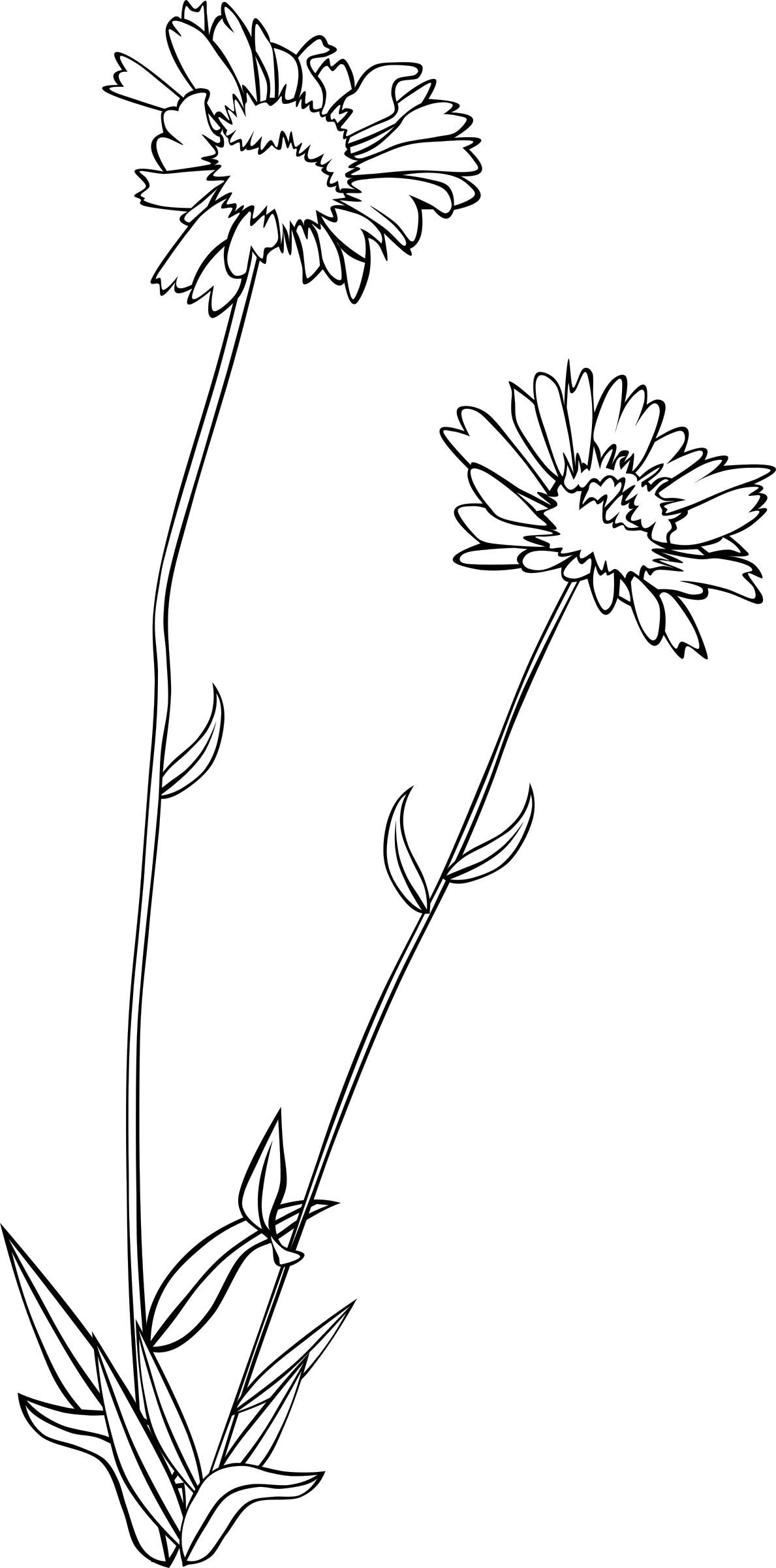 Download wildflower clipart black and white 20 free Cliparts ...