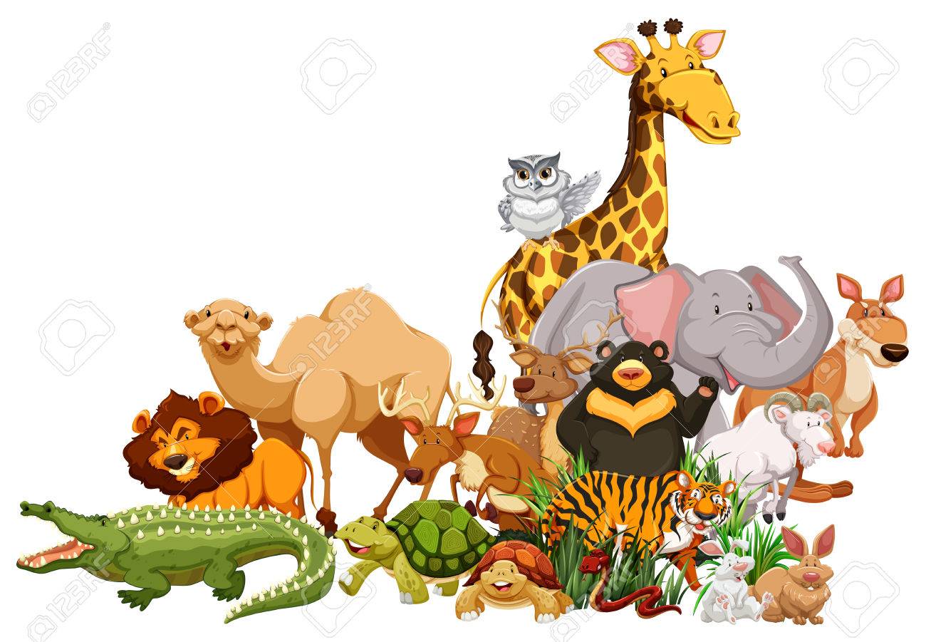 Wild Animal Clipart at GetDrawings.com.