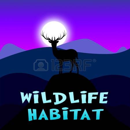 3,409 Wildlife Reserve Stock Vector Illustration And Royalty Free.