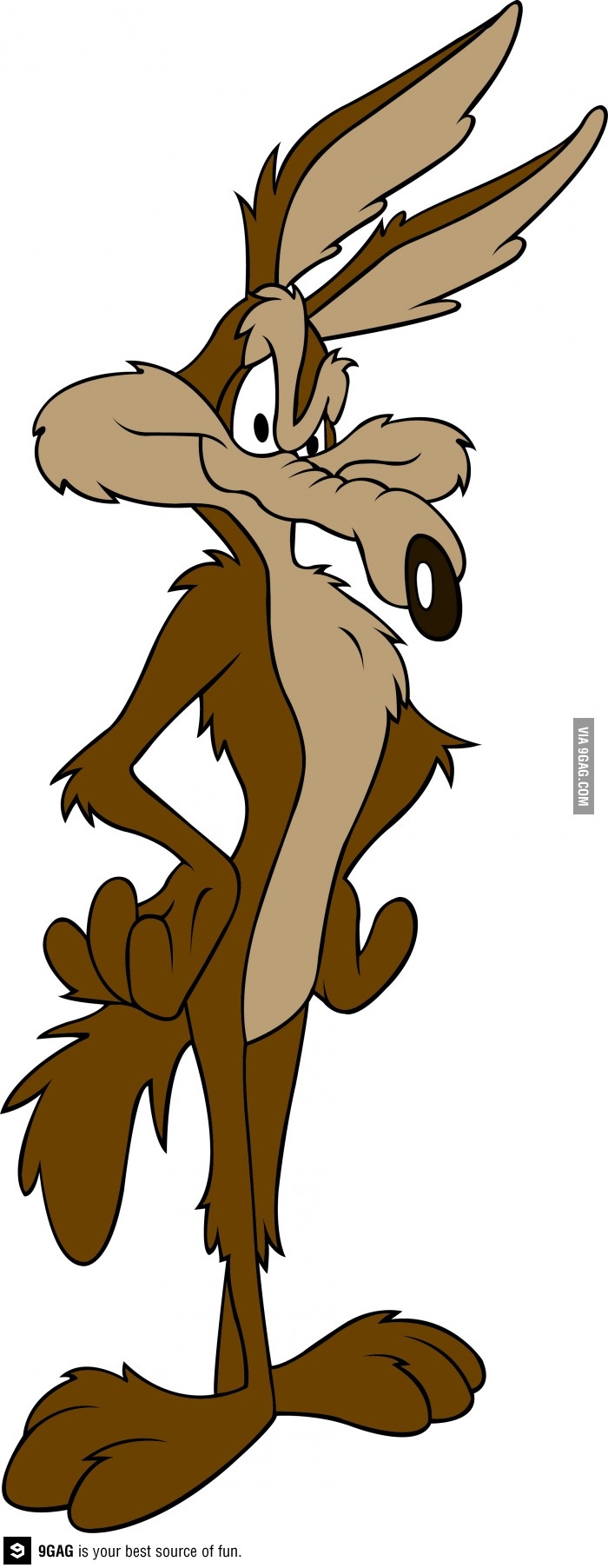 wile coyote clipart 20 free Cliparts | Download images on Clipground 2024
