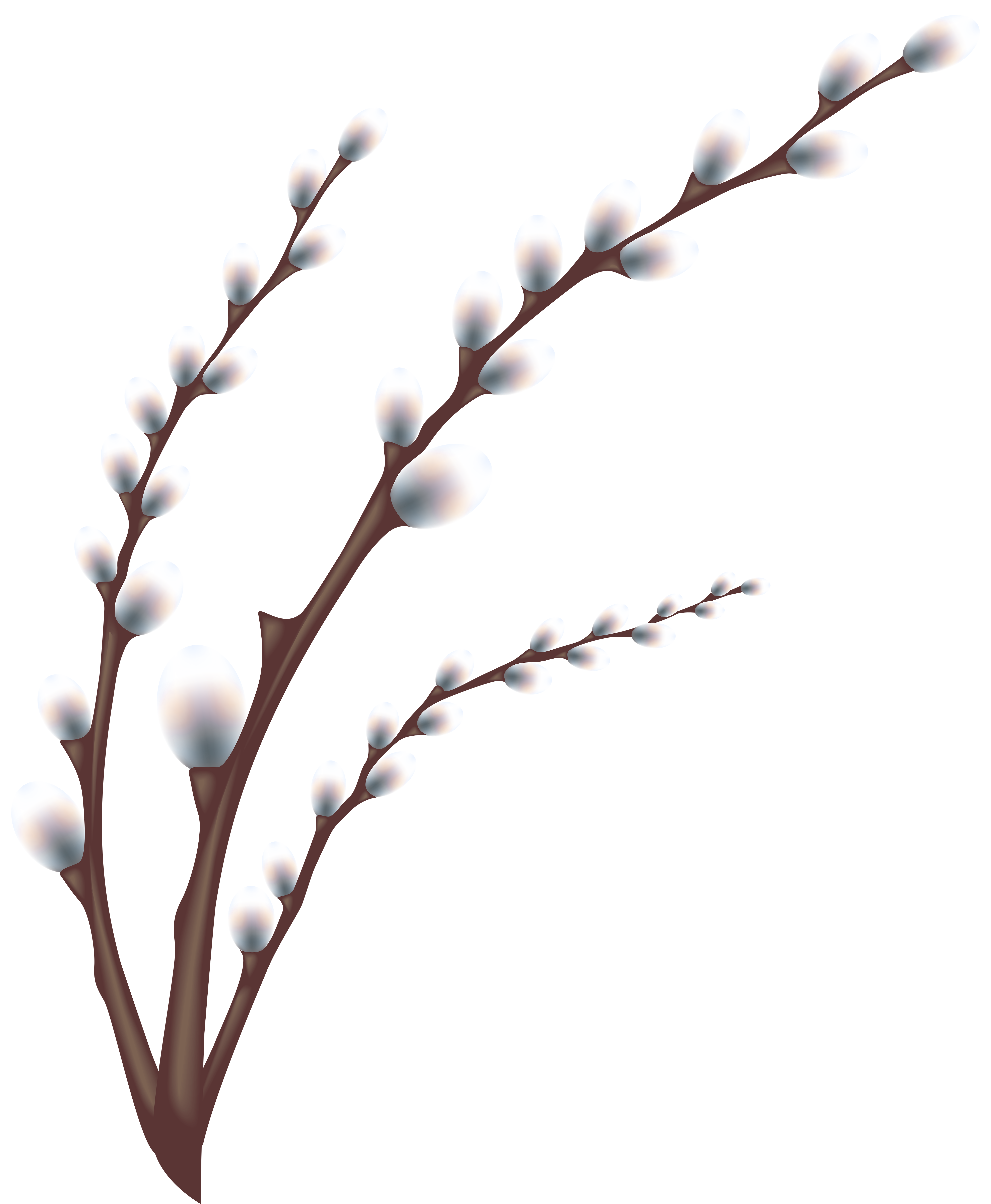 Willow Branches Clip Art.