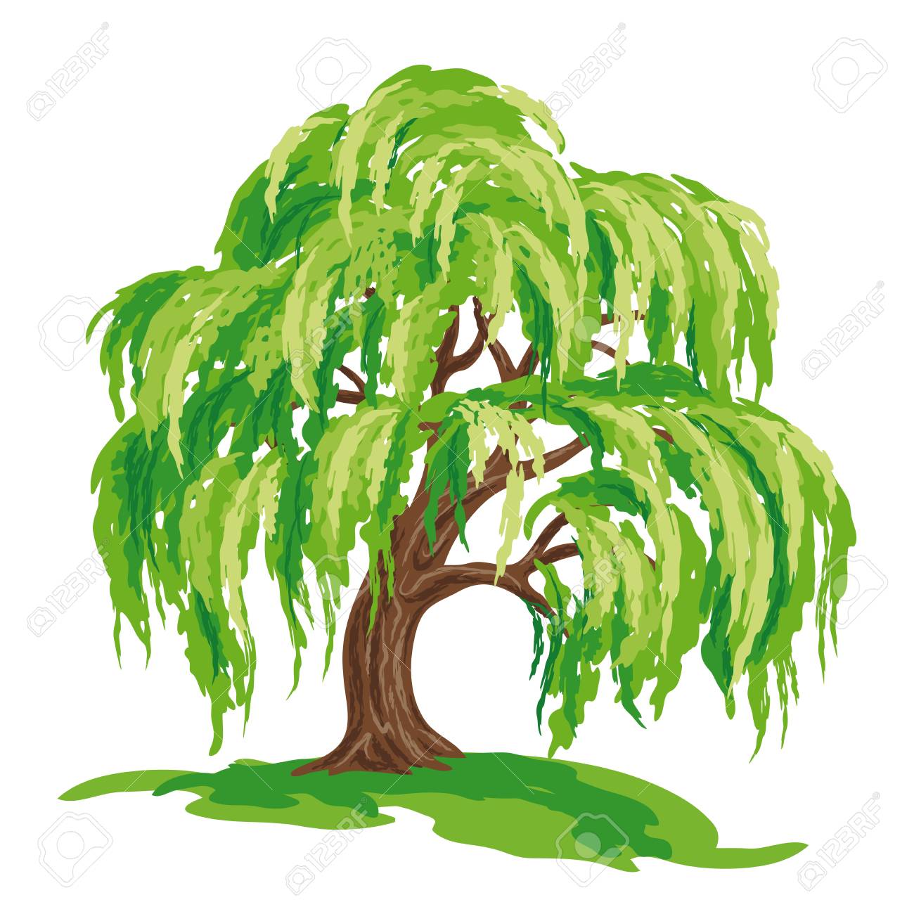 Vector drawing of willow tree. EPS8..