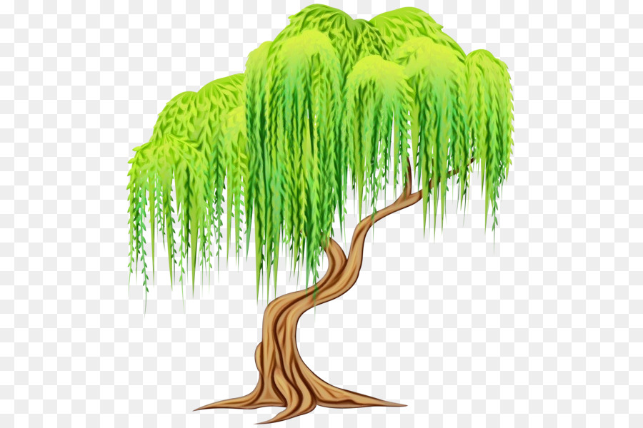 willow tree clipart png 10 free Cliparts | Download images on