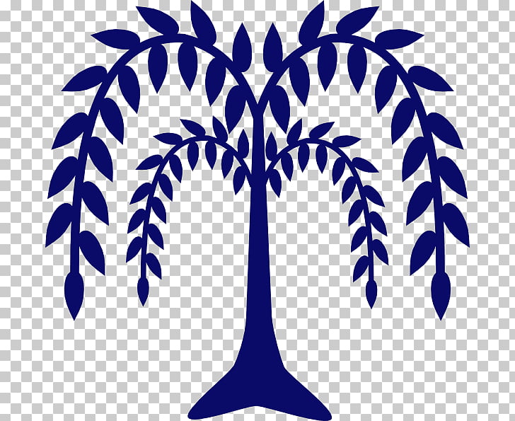 Tree Weeping willow , tree PNG clipart.