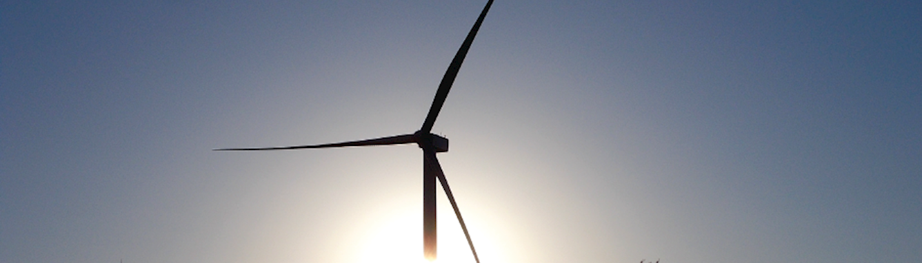 Rocksprings Wind Farm in Texas, US.