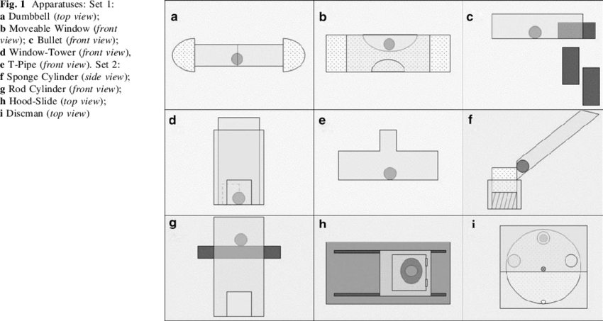 Apparatuses: Set 1: a Dumbbell (top view); b Moveable Window (front.