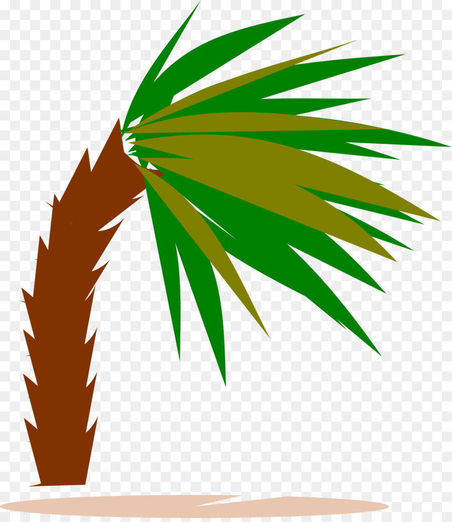 Palm Tree Background clipart.