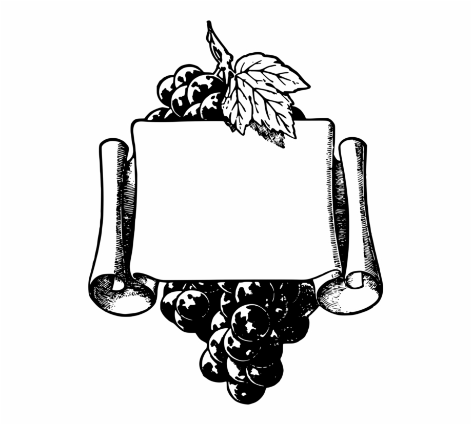 Common Grape Vine Wine Picture Frames Fruit Frame.