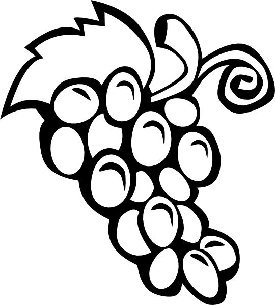 wine grape clipart.