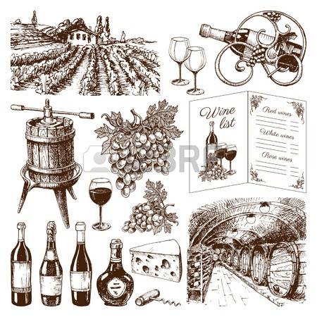 448 Wine Growing Stock Vector Illustration And Royalty Free Wine.