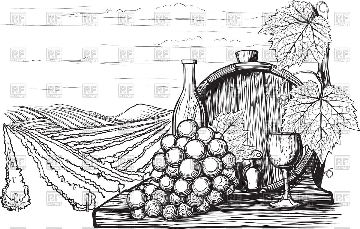 vineyard clipart vector 20 free Cliparts | Download images on