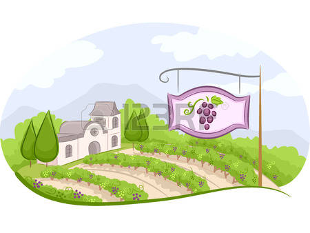 526 Winery Landscape Stock Vector Illustration And Royalty Free.