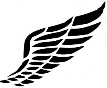 Wings design in vector format.