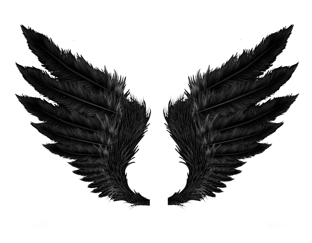 Wings HD PNG Transparent Wings HD.PNG Images..