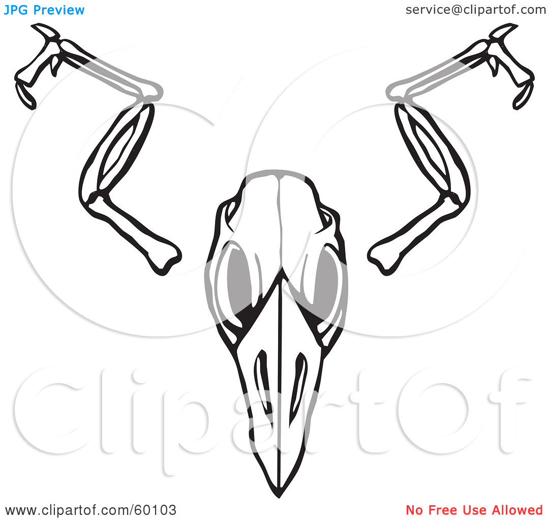 Wing skeleton clipart 20 free Cliparts | Download images on Clipground 2023