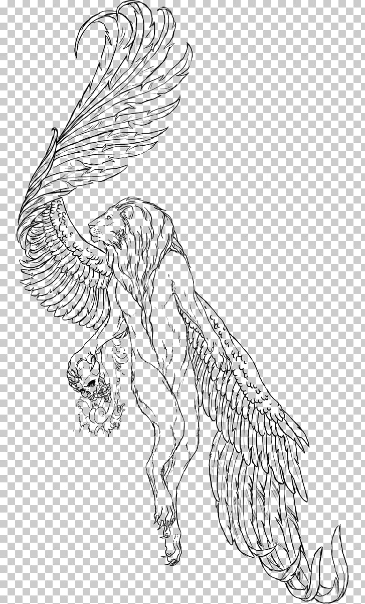 Winged lion Drawing Sketch, Lion Wings PNG clipart.