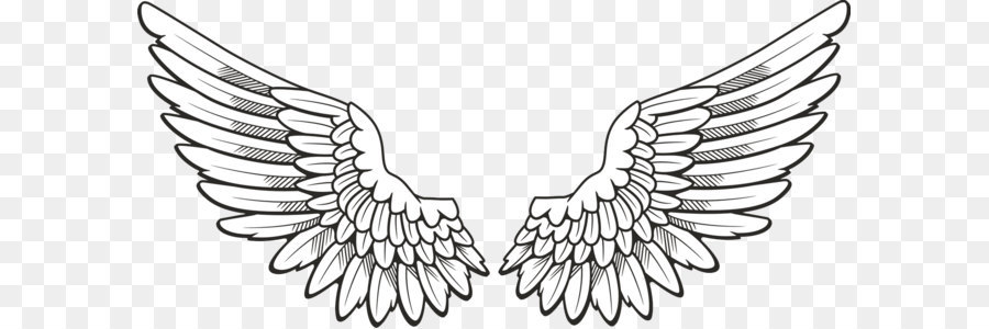 wings clipart png 10 free Cliparts | Download images on Clipground 2022