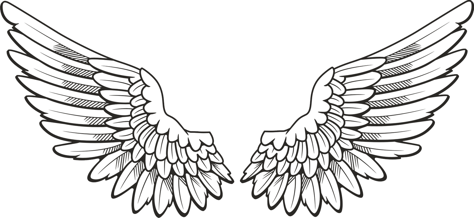 Wings PNG images free download, angel wings PNG.