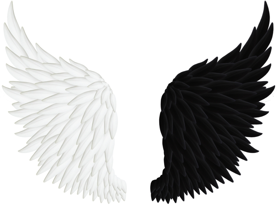 Angel Wings, Wings PNG Images Transparent Free Download.
