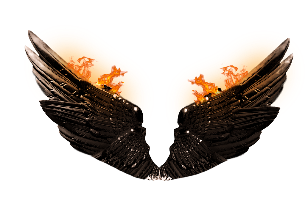 wings png images 10 free Cliparts | Download images on Clipground 2023