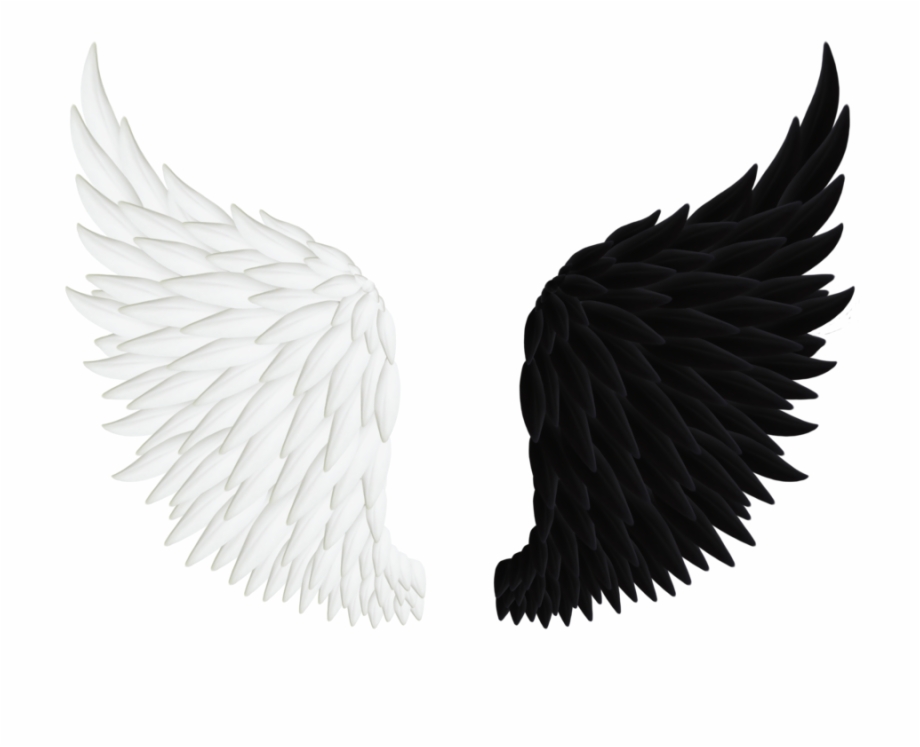 Angels Wings Png.