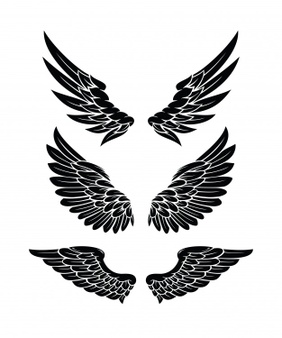 Wings Vectors, Photos and PSD files.