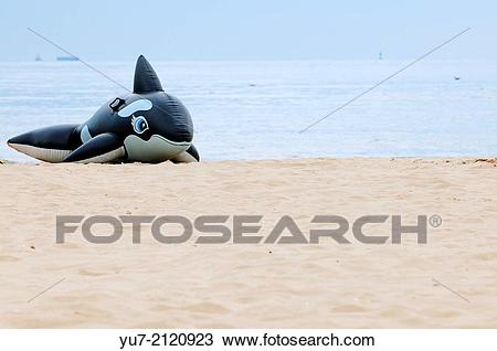 Stock Photo of Inflatable orca on the beach in Swinoujscie at.