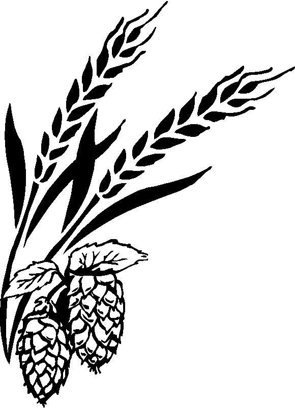 Barley Hops Vector Clipart.