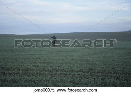 Stock Image of surreal, scarecrow, winter barley, beck, beckoning.