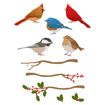 Winter Birds Clipart, Christmas Clipart, Winter Clipart, Holiday Clipart.