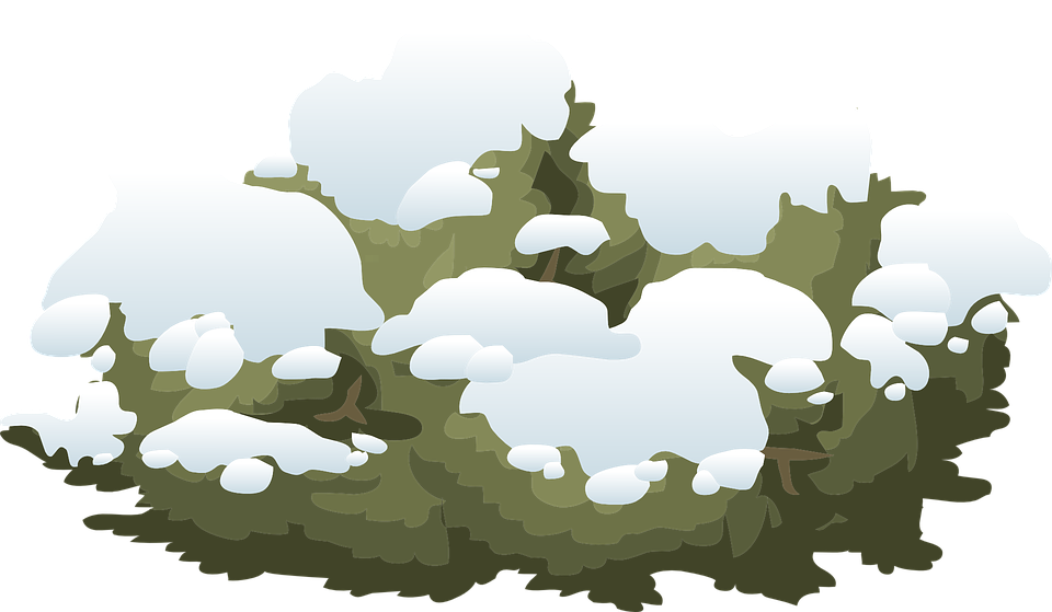 Winter bushes clipart 20 free Cliparts | Download images on Clipground 2022