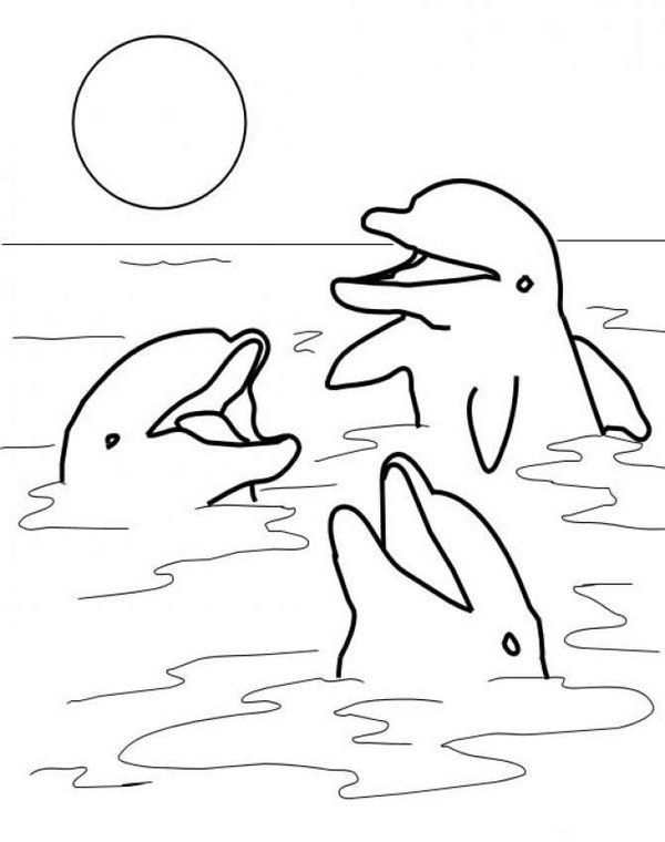 Free Printable Winter The Dolphin Coloring Pages for Kids.