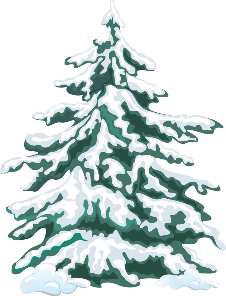 Free Evergreen Tree Images, Download Free Clip Art, Free.