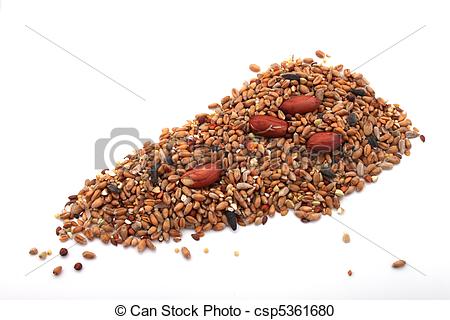Stock Photography of Wild bird food, put out in a garden to feed.