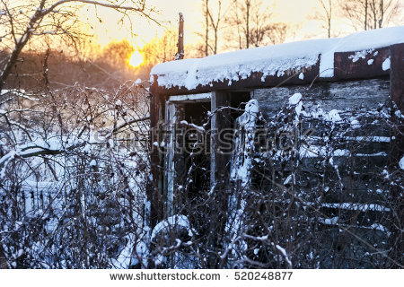 Snow Trees Barn Banco de imágenes. Fotos y vectores libres de.