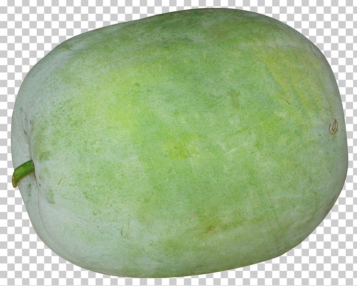 Cucumber clipart winter melon, Cucumber winter melon.