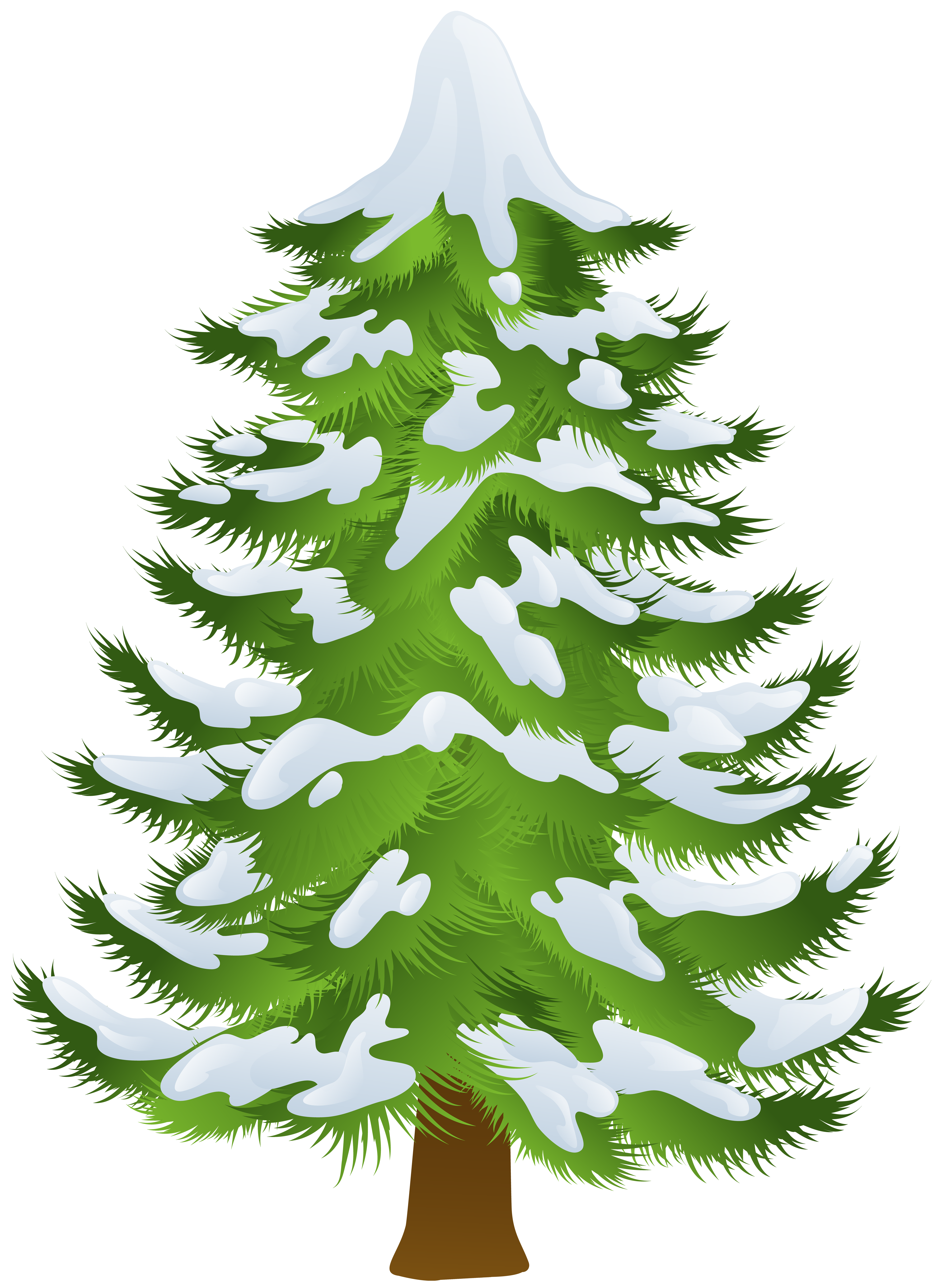 Pine Tree Winter Clip art.