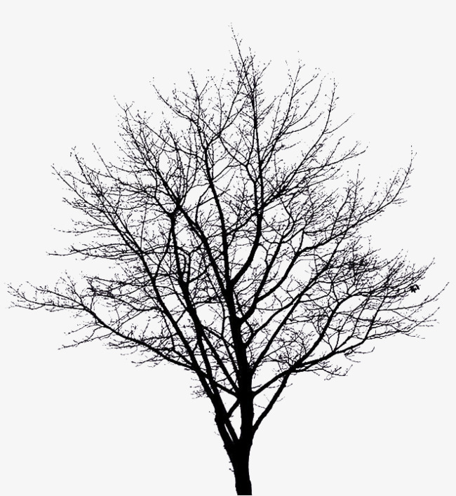 Winter Tree Png Png & Free Winter Tree.png Transparent Images #12207.