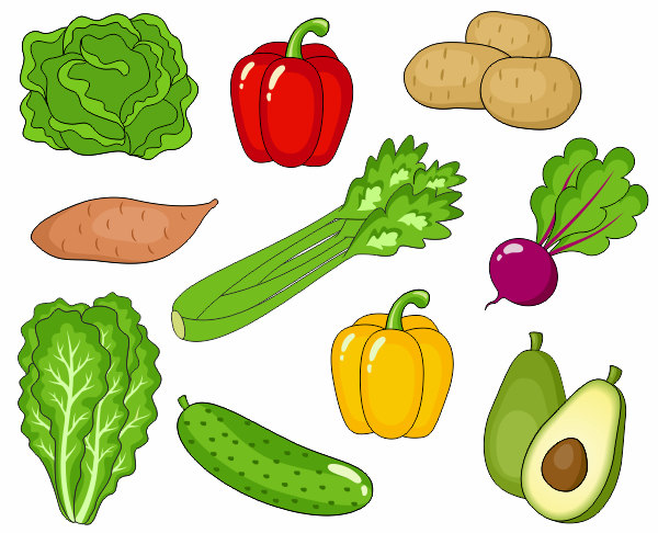 Vegetable clip art.